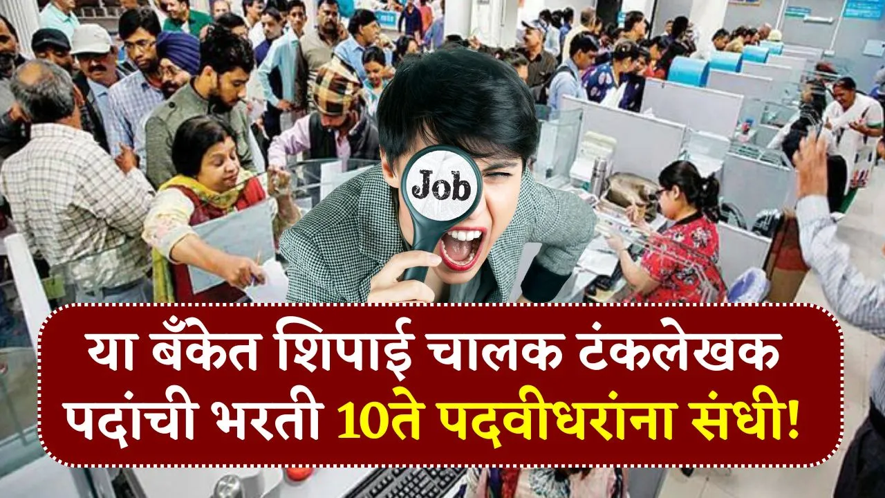 राज्य सहकारी बँकेत शिपाई चालक टंकलेखक पदांवर भरती 10ते पदवीधरांना संधी! MSC Bank Bharti 2025